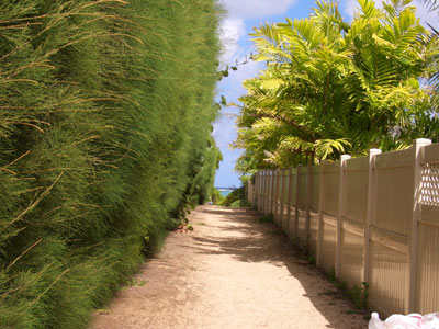 2010hawaii 092.jpg
