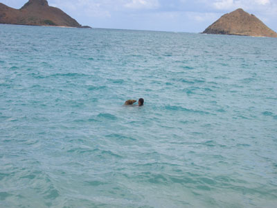 2010hawaii 076.jpg