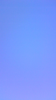 110405_145040_ed.jpg