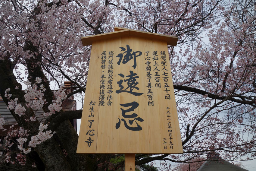 高山市了心寺 桜 御遠忌 イベント