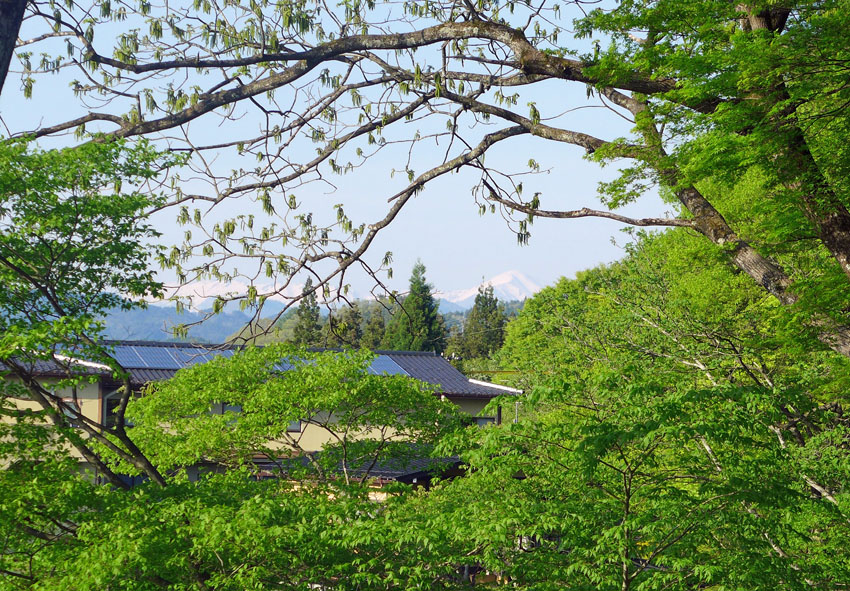 高山市,文化伝承館