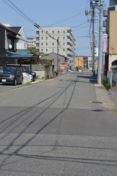 DSC_6838.JPG