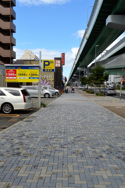 DSC_8632.JPG
