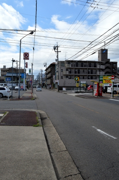 DSC_8662.JPG