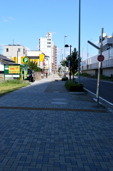 DSC_8669.JPG