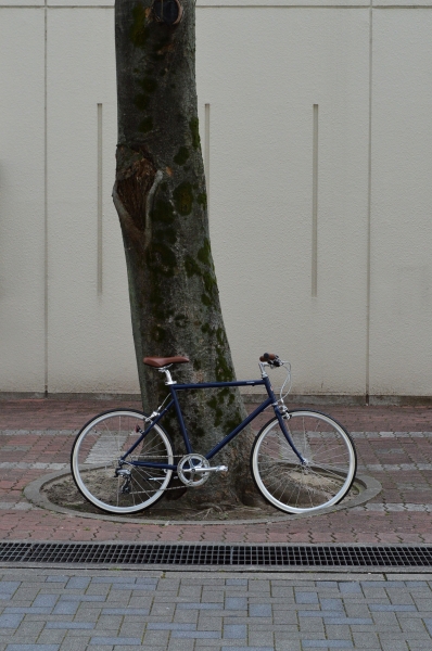 DSC_1822.JPG