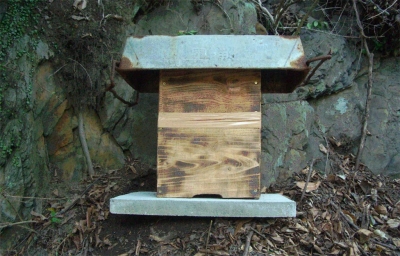蜂洞