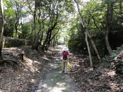 上見坂公園遊歩道