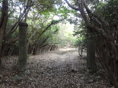 大崎山砲台・門柱