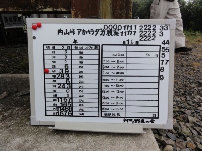 アカハラダカ観察リスト