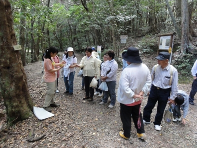 龍良山登山口