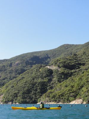 金田城の城壁