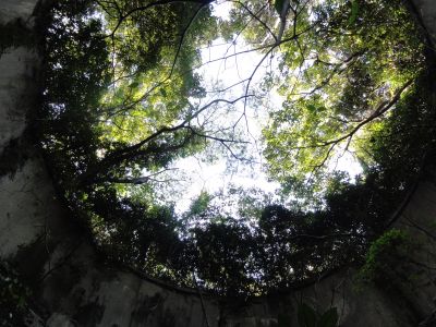 砲台内部