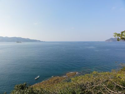 芋崎から浅茅湾を眺望