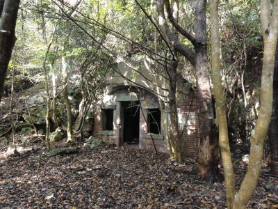 棲息掩蔽部