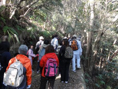 城山トレッキングの様子