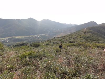 大鳥毛山登山道