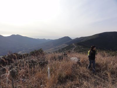 大鳥毛山三角点