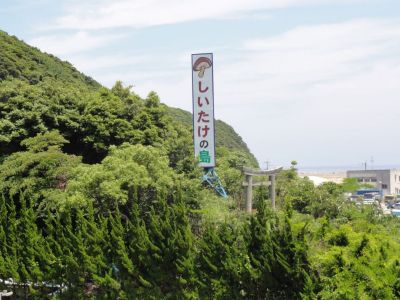 白磯神社