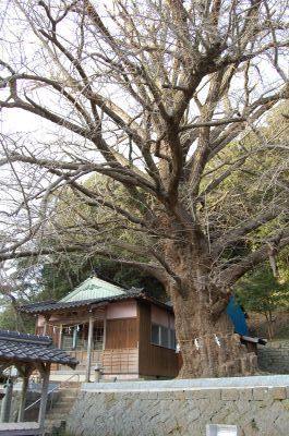 六御前神社(千尋藻)