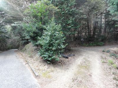 鉾ヶ岳分岐点