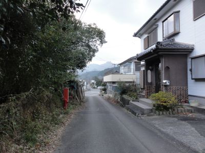 洲藻