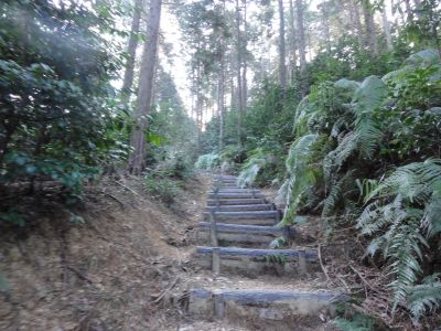 連続階段