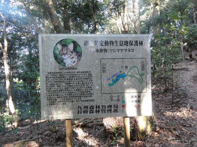 ヤマネコ看板