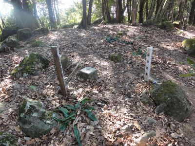 平岳三角点