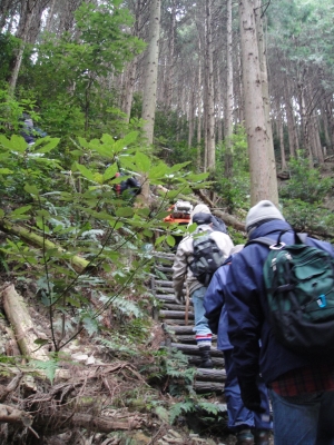 登山道(急階段)