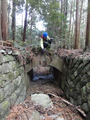 石の護岸