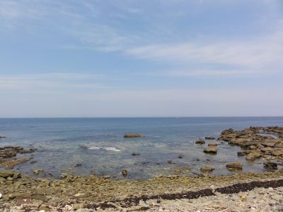 海岸