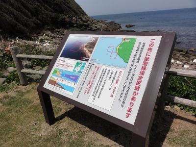低潮線