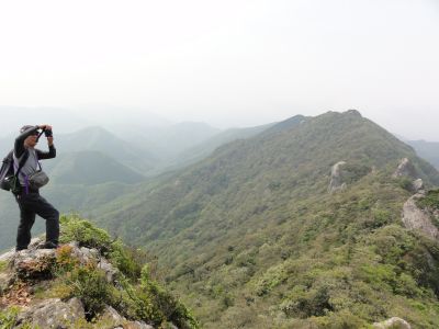 雄嶽山頂付近