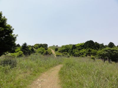 有明登山道3