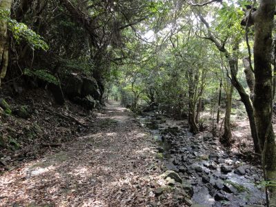 砥石渕から上見坂