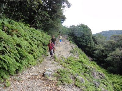 ビングシ山