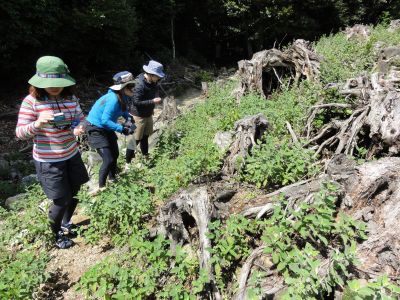 金田城・一ノ城戸