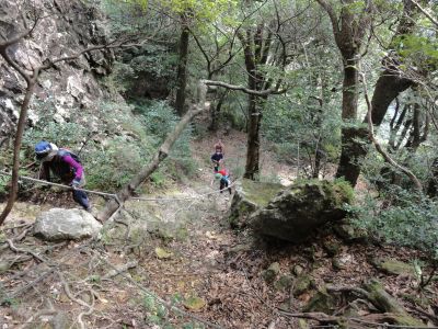山頂付近の急傾斜
