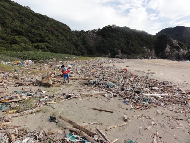 流木