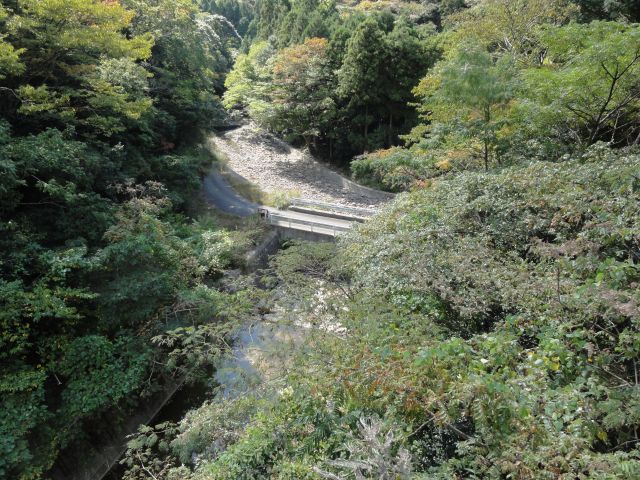 入り組んだ山道