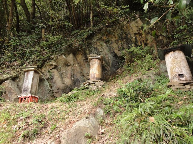 ニホンミツバチの養蜂