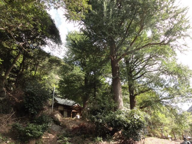 雷命神社