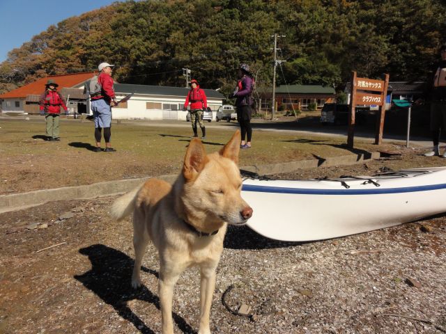忠犬ハチ