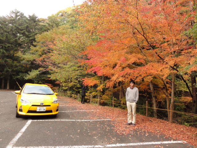 舟志のもみじ街道5
