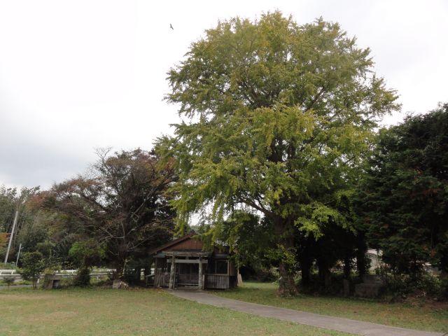 白嶽神社