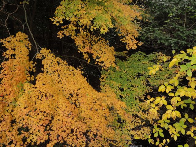 登山口途中1