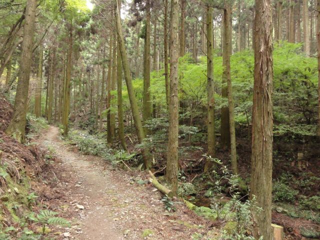 白嶽登山道1