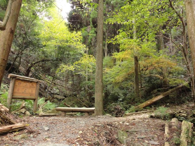 白嶽登山道3