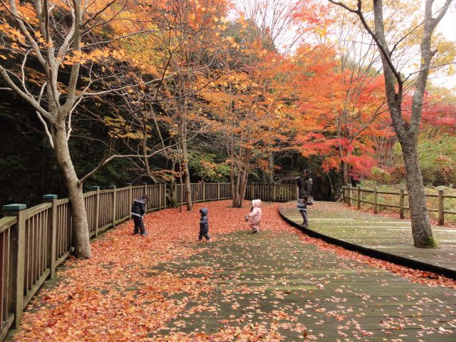 松原自然公園2